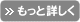 ジオトラスト RapidSSL プラス 詳しい説明