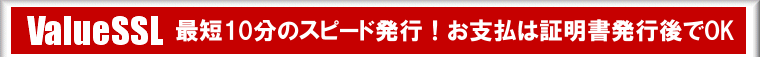 ssl証明書のValuesslはジオトラスト、ベリサイン、Rapidssl、Thawteを格安でお取扱中。最短10分でssl証明書をクイック発行。代金は後払い